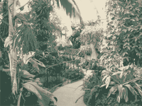 image of gardens
