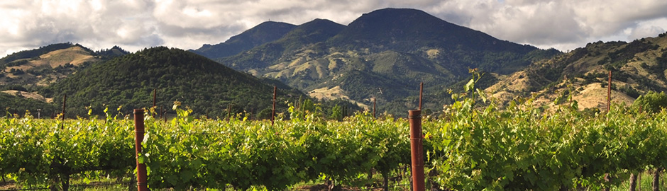 mountain and vineyard landscape of Napa, California