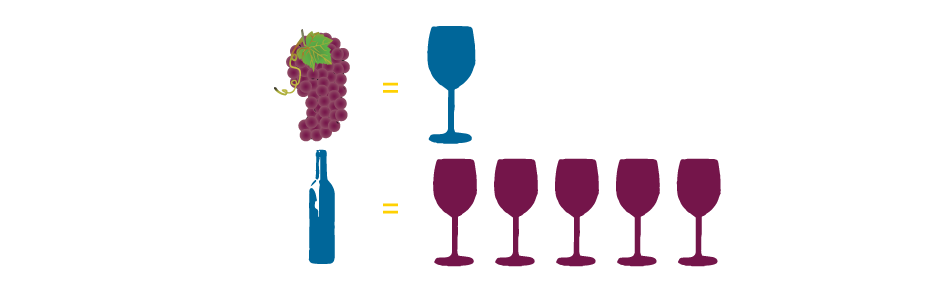 one cluster of grapes are in one glass, five glasses are in one bottle
