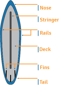 Picture of Surfboard with parts labeled
